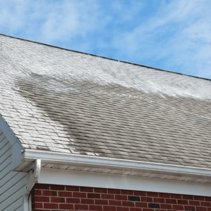 Roof Cleaning in Wise County, TX